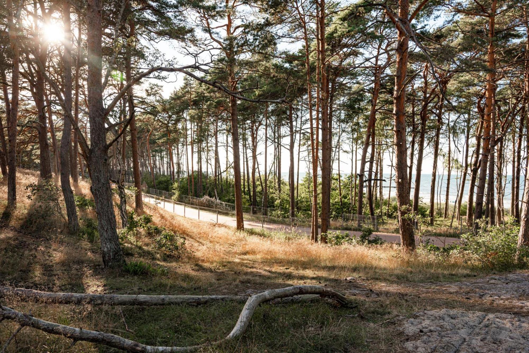 Neptuno Resort & Spa Dźwirzyno Kültér fotó